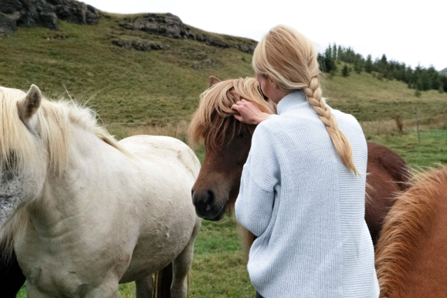 Mädchen streichelt Pony © Unsplash