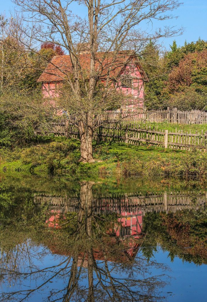 Fachwekhaus hinter Baum © JamesDeMers Fachwekhaus hinter Baum wird im Wasser gespiegelt