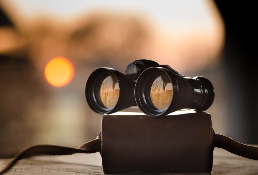 A pair of binoculars with a case.
