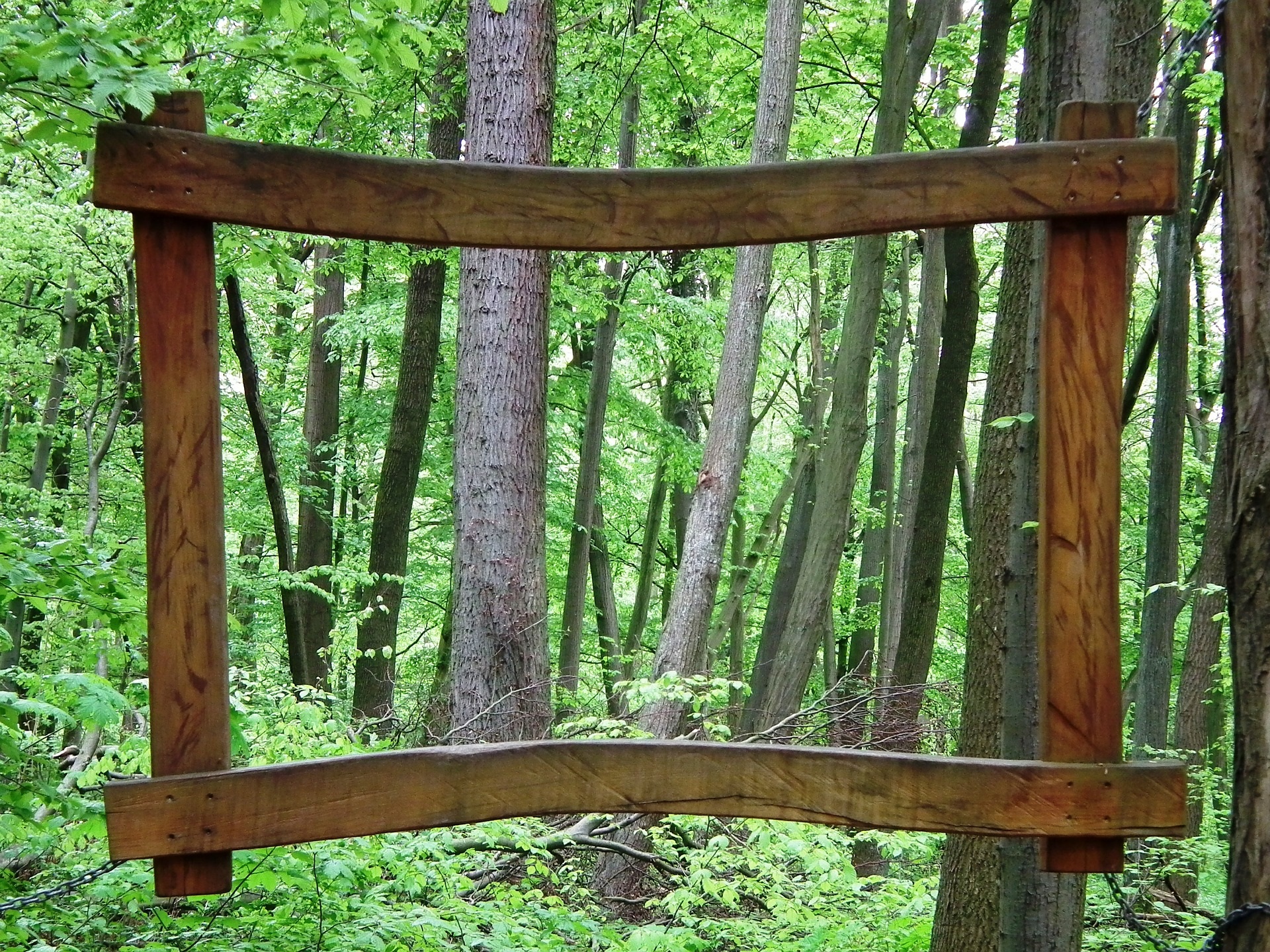 Holzrahmen vor einem Wald.