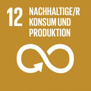 SDG_12 Icon des SDG 12