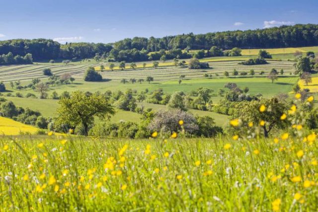 UNESCO-Biosphaerenreservat Bliesgau © TZS UNESCO-Biosphaerenreservat Bliesgau