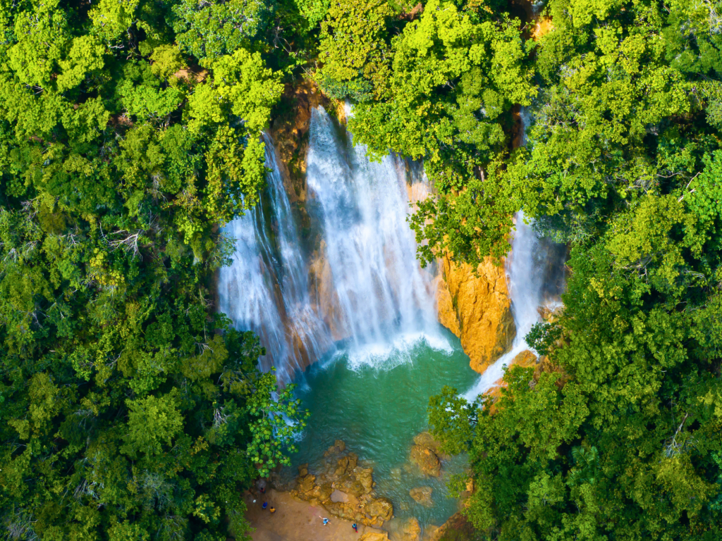 Waterfall surrounded by dense tropical rainforest in the Dominican Republic."