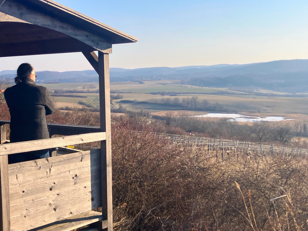 TourCert Journal Blog – Panoramaansicht Burgenland © Florian Größwang Ein Mann steht auf einem Hügel und blickt über die Landschaft des Burgenlands.